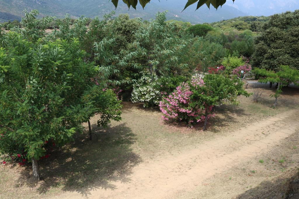 Les Couchants 3* Casaglione